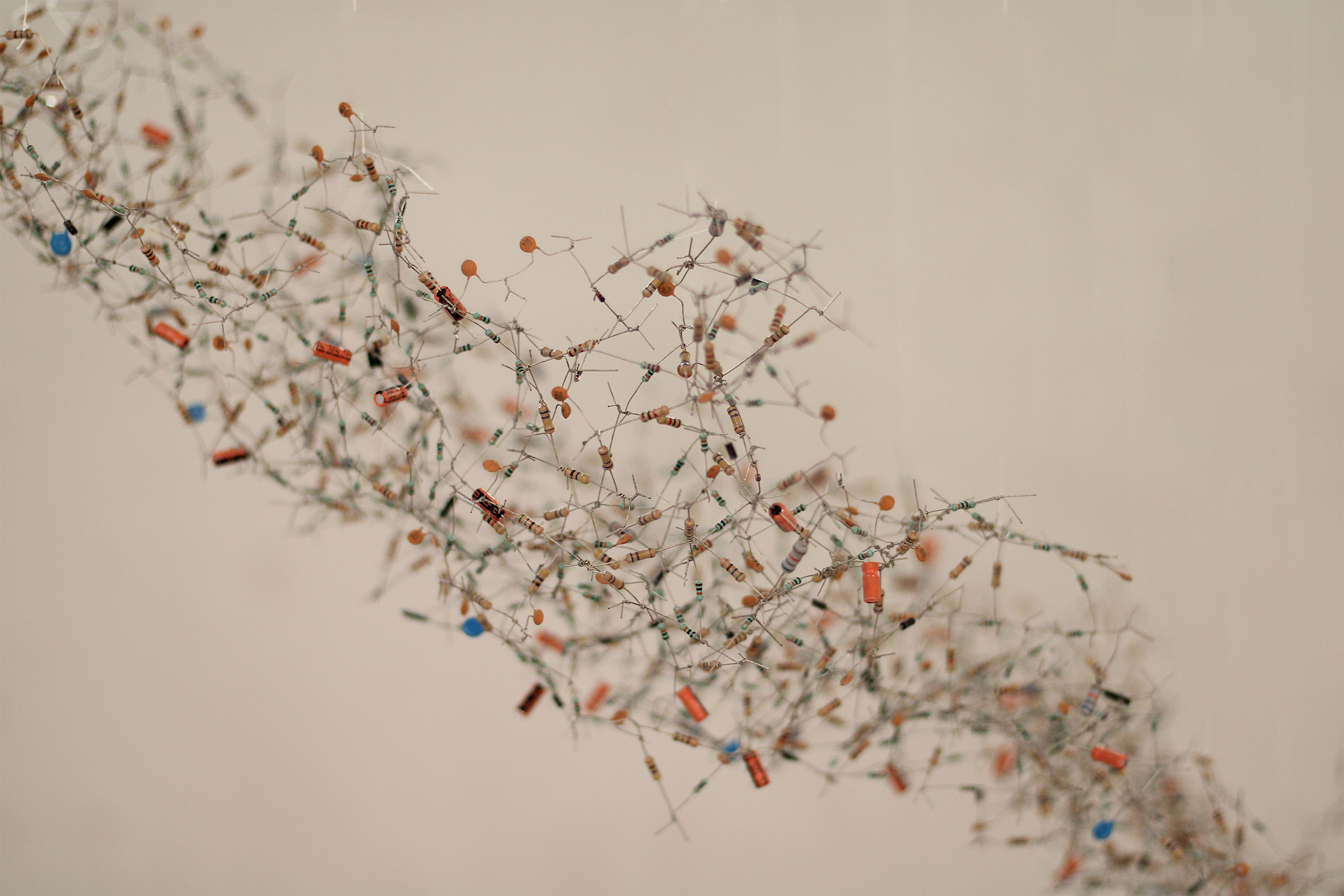Starling detail one